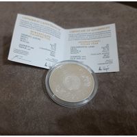 Международный полярный год, 20 рублей, аргентум