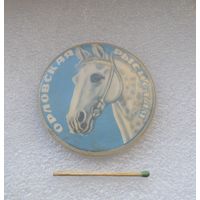 Орловская рысистая.