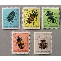 Жуки. Португальская Гвинея, 1953