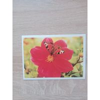 Календарик 1990