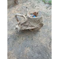 Сошник сорокопятки