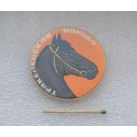 Тракененская порода.