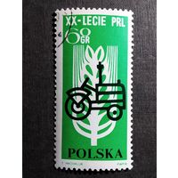 Марка Польша 1964 год 20 лет Польской народной республике