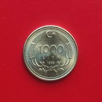 Турция 1000 лир 1993 г.