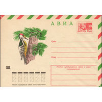 Художественный маркированный конверт СССР N 9355 (18.12.1973) АВИА  [Дятел белоспинный]