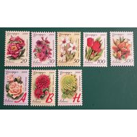 2008 Двенадцатый стандартный выпуск (Садовые цветы) Беларусь