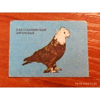 Спичечная этикетка Благодарненский голубь