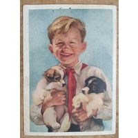 Стрелкова Э. Пионер со щенками. 1954 г. Подписана.