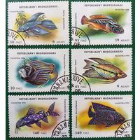 Мадагаскар 1994. Рыбы.