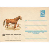 Художественный маркированный конверт СССР N 12421 (02.11.1977) Лошадь донской породы