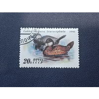 СССР 1991г. Утки