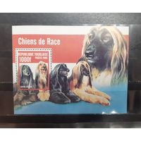 Того. 1999 год. Фауна. Собаки. Блок (833)