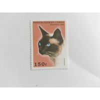 Конго 1996 коты