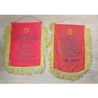 Все лоты с рубля.Редкие вымпелы Гражданская оборона СССР.Разведывательное звено и Спасательная группа.