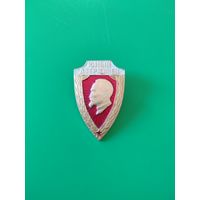 Значок юный Дзержинец