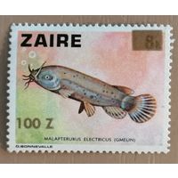 Марка Заир, Конго, фауна, рыбы, электрический сом, 1982 г.