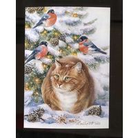 Открытка. Фауна. Животные. Рыжий Кот и снегири. Коты. Котики. Птицы. Зима. Ёлочка. Худ. Т.Хазова (чистая)