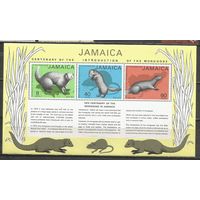 Ямайка. 100 лет появления мангуста на острове. 1973г. Mi#Бл4.