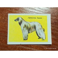 Спичечная этикетка Афганская борзая