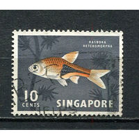 Сингапур - 1962/1967 - Рыбка 10C - [Mi.59X] - 1 марка. Гашеная.  (Лот 14HT)-TG3P15