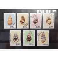 Куба. 1973 год. Фауна. Ракушки (1262)