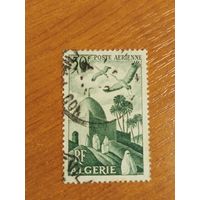 1949 Французская колония Алжир фауна птицы архитектура (4-4)
