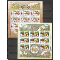 ФФ3 Украина 2018-19 Гастрономия