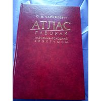 Ю.В.Чарнякевiч"Атлас -гаворак пауночна-усходняй Брэстчыны"\040