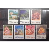 Вьетнам. 1987 год. Фауна. Кораллы (1263)