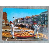 Этнография. Нидерланды, Алкмар. Сырный рынок