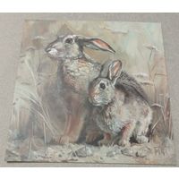 Посткроссинг. Открытка "Ушастая парочка", худ.Мария Павлова (13,5х13,5). Прошла почту. Художественные марки, чёткий штемпель.