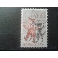 Нидерланды 1982 Коты