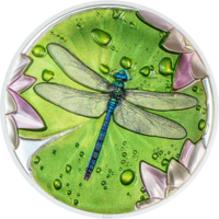 Палау 5 долларов 2024г. "Кувшинка. Стрекоза". Монета в капсуле; подарочной рамке - футляре; сертификат; коробка. СЕРЕБРО 31,10гр.(1 oz).