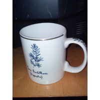 Большая кружка "БОТАНИКА"