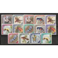 ФФ1 Малуку Селатан 1953 Птицы