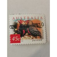 Марка из серии "Птицы пустыни" - Расписной астрильд (Emblema pictum)