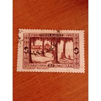 1936 французская колония Алжир флора (4-7)