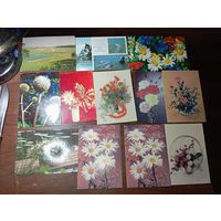 Флора открытки СССР . С рубля .