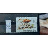 РАСПРОДАЖА ГВИНЕЯ 1976г. Гаш.