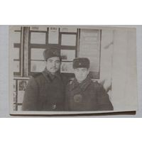 Фото в коллекцию