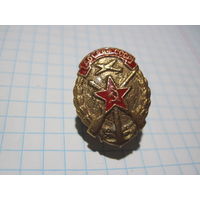 Знак ДОСААФ СССР восстановленный с рубля!