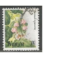 Кения. Цветы. Домбея. 1985г. Mi#339.
