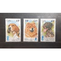 Куба. 1998 год. Фауна. Собаки (804)