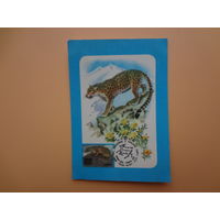Календарик 1988 г.  ВОФ.  Леопард.