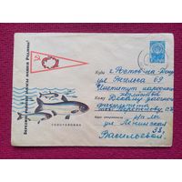 Конверт. Толстолобик! Алексеев 1965 г.