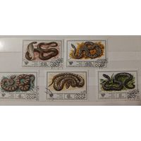 РАСПРОДАЖА КОЛЛЕКЦИИ. СССР. марки "ядовитые змеи"