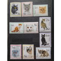 Польша;1964г. ; полная серия;Mих 1475 -84 10 марок ;Кошки; Фауна MNH OG(ma)