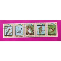 Куба. Птицы. ( Сцепка ) 1983 года. 5-6.