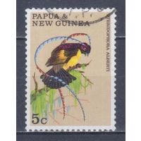 [881] Папуа Новая Гвинея 1970. Фауна.Птицы.Райская птица. Гашеная марка.