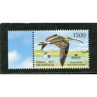 Беларусь 2011. Птица года. Большой кроншнеп